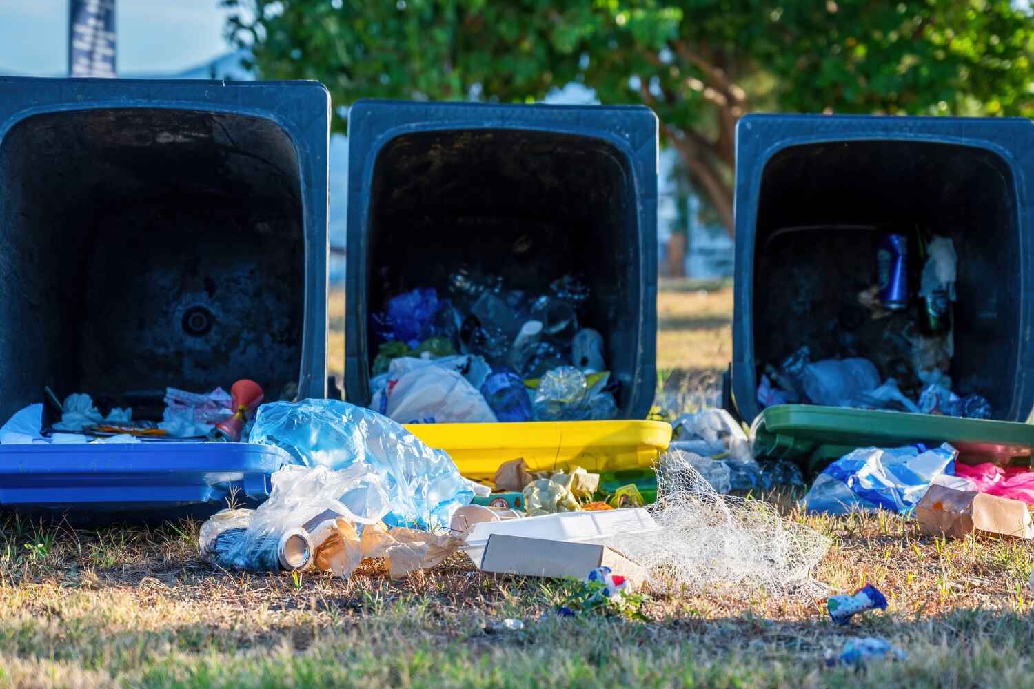 Best Trash Removal Near Me  in Butler, NJ